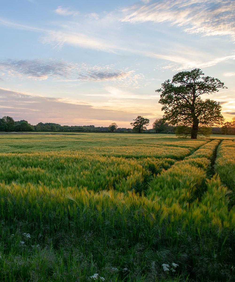 Lincolnshire self storage solutions