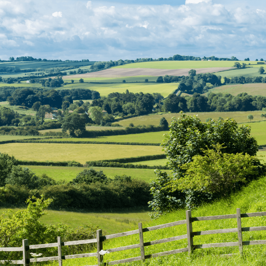 louth manby countryside