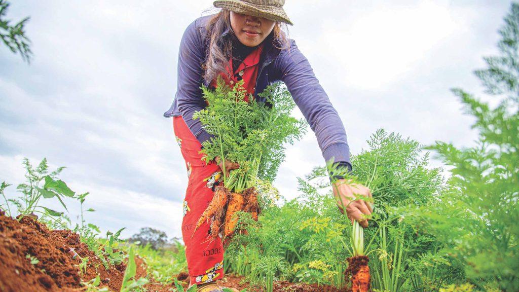 lady gardening