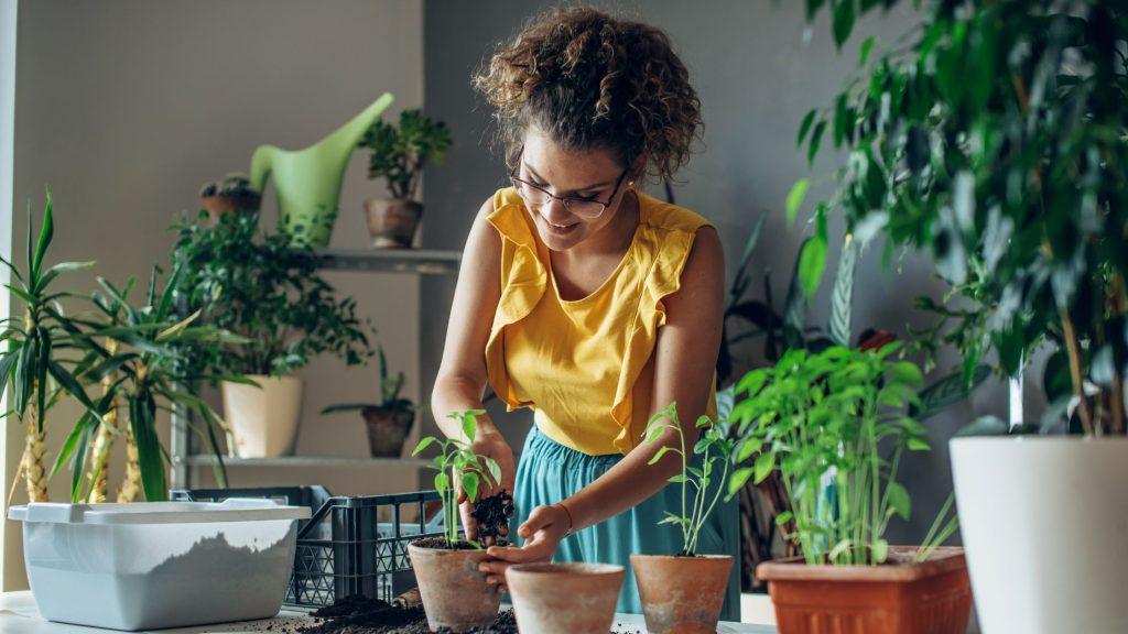 lady planting