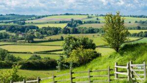 Louth’s beautiful nature and surrounding scenery 