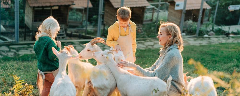 Kids feeding farm animals