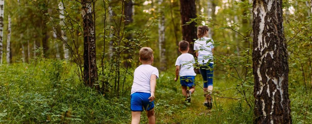 Kids hiking in the forest