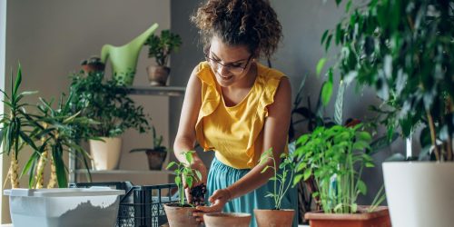 lady planting